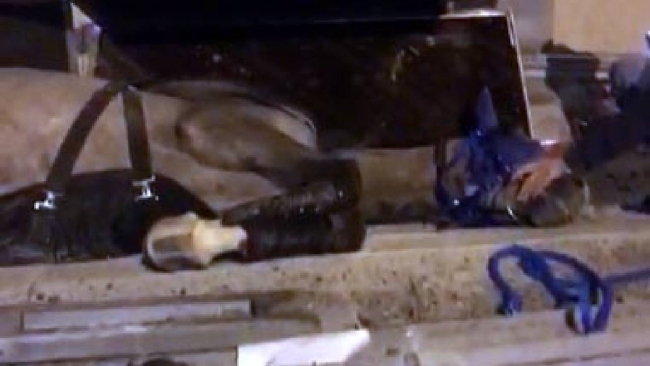 Kayseri'de yarış atlarını taşıyan kamyonet devrildi: 2 ölü, 1 yaralı